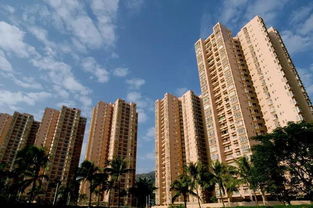 淺析廈門(mén)市住房租賃市場(chǎng)的發(fā)展趨勢(shì)